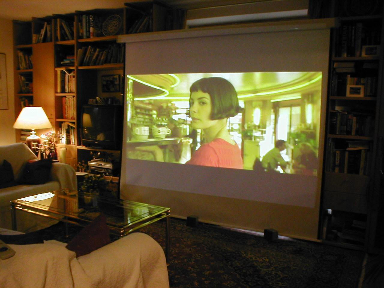 Heimkino Leinwände